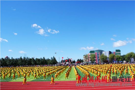 綏濱縣趙國友最新消息全解析，獲取指南與進階技巧