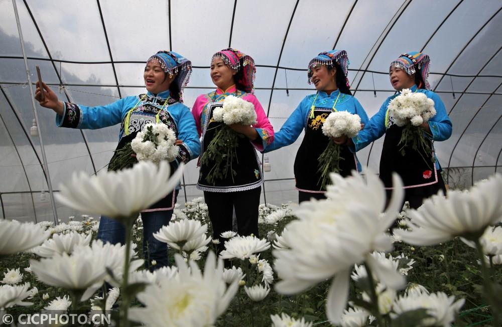 黔西縣鐘山鎮最新動態，溫馨日常的點滴記錄