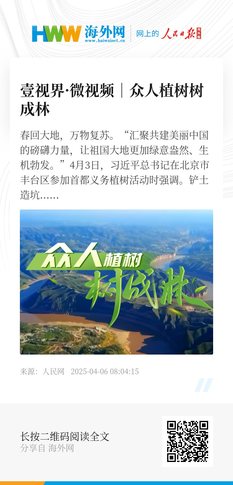 長青樹眾籌最新動態，小巷驚喜與特色小店的獨特魅力探索