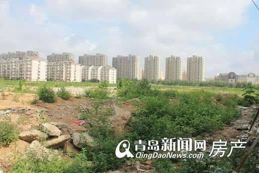 李滄楊哥莊最新動態，科技引領生活，智能新品體驗未來