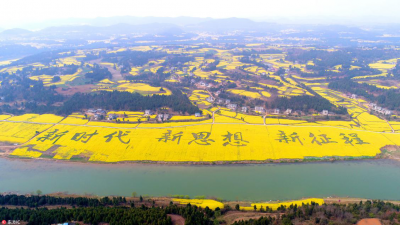 三臺縣龍樹鎮最新資訊更新