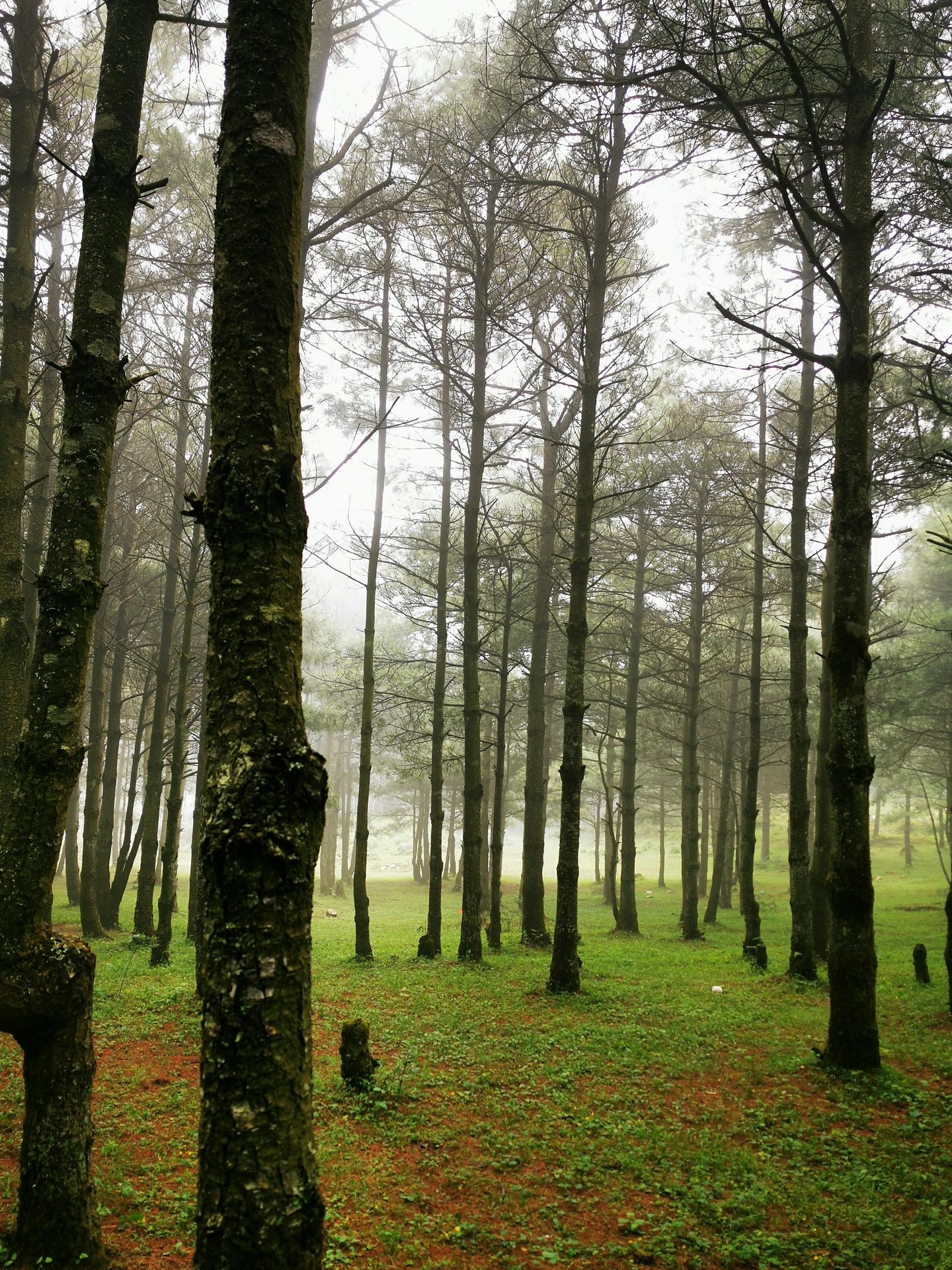 期貨世界第三部最新探索，與自然美景的邂逅與內心平和的追尋