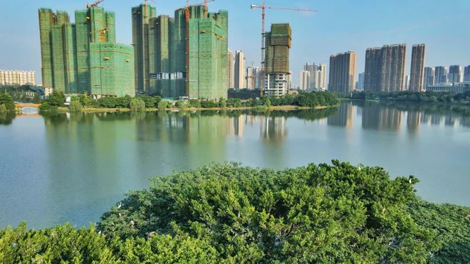 綠島湖一號最新動態揭秘,神秘角落與小巷風情小店探秘