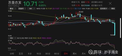 蘇墾農發股票最新動態與溫馨日常故事揭秘
