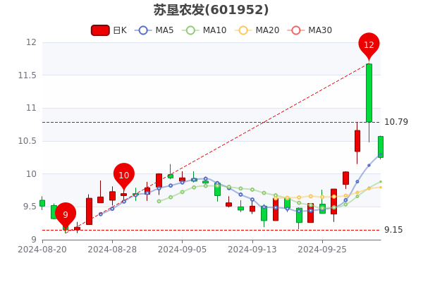 蘇墾農發股票最新動態與溫馨日常故事揭秘