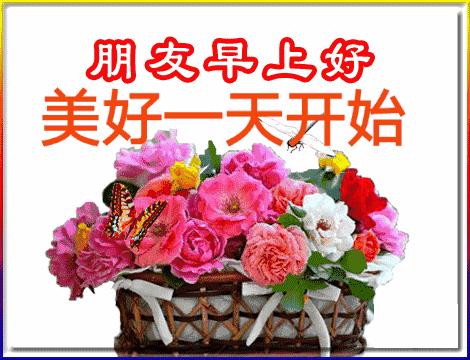 五福碰胡最新版下載，變化、學習與自信的力量之源