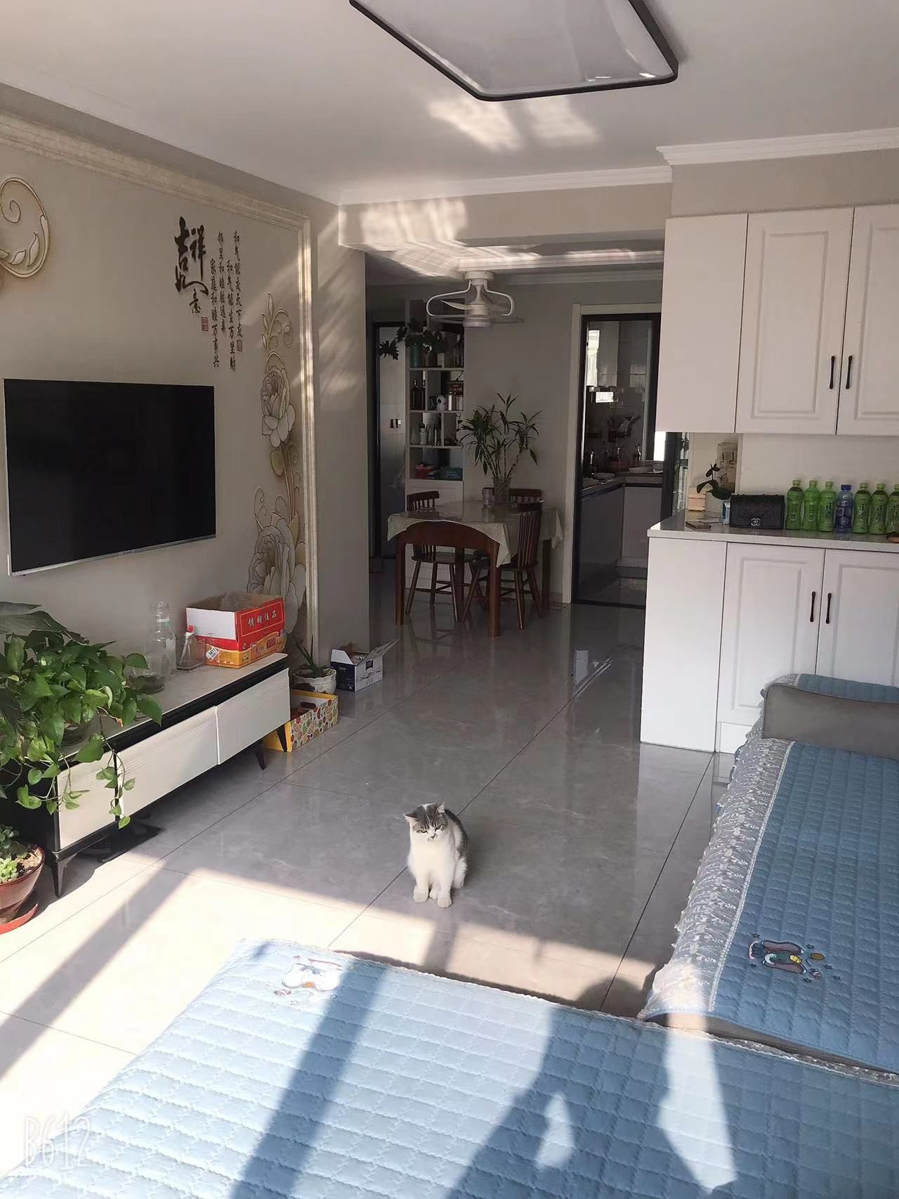 袁花最新二手房出售詳解,初學者與進階用戶的購房指南