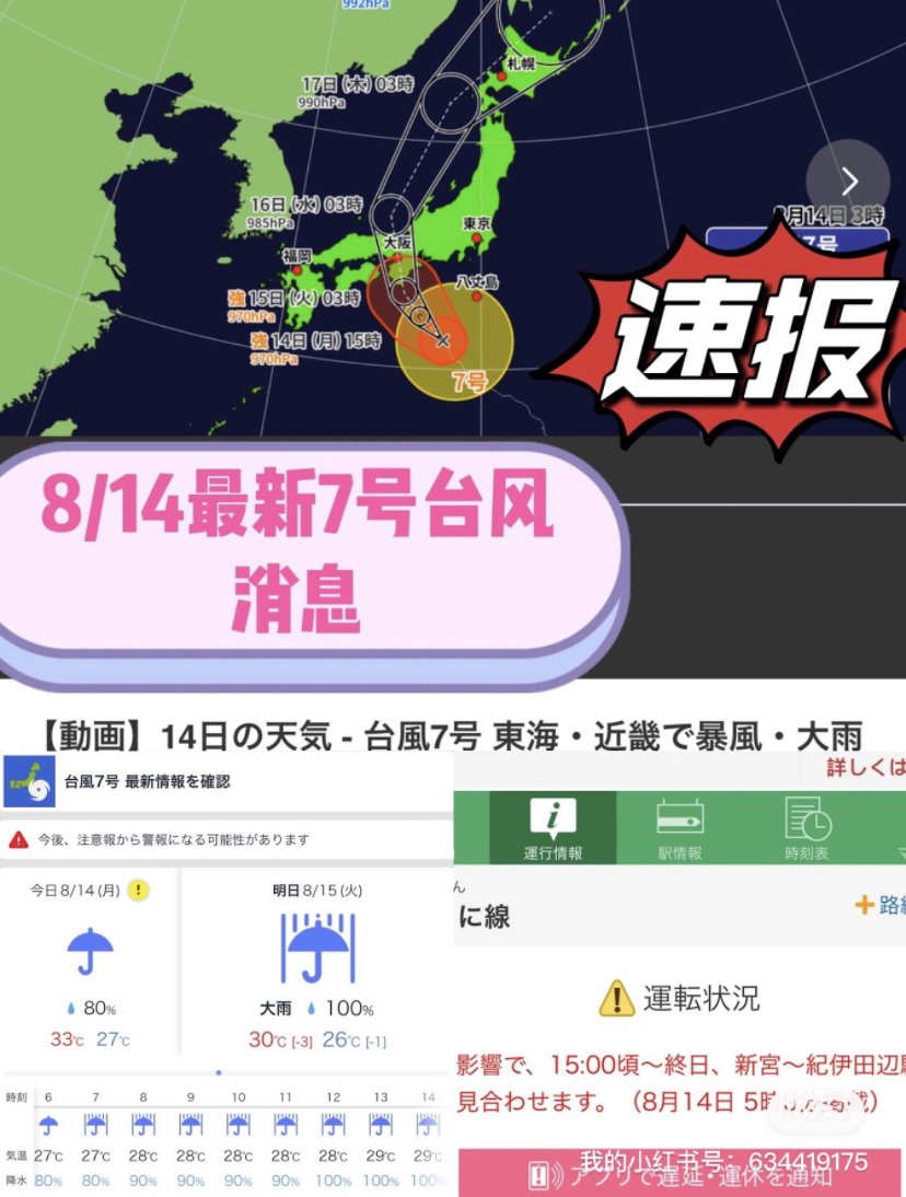 臺風來襲，知識海洋并肩作戰，最新關于臺風12號的消息報告