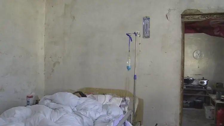 成武縣汶上鎮探秘，巷弄深處的獨特小店最新消息揭秘