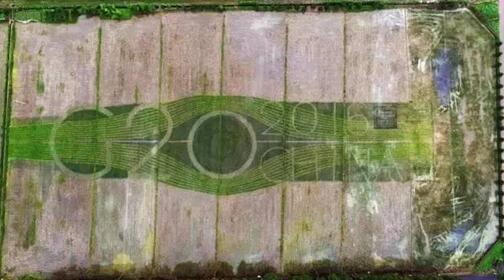 良渚大陸村最新規劃圖揭秘,自然美景的探索之旅