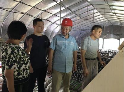 陳瑤湖汪朝龍，心靈與自然的美妙之旅最新報道