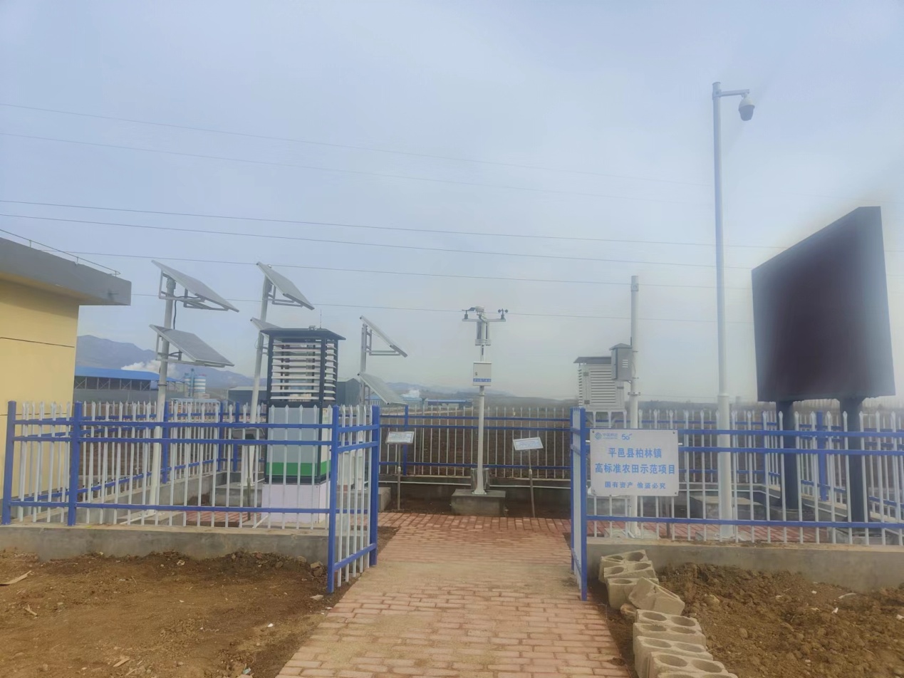 平邑縣鄉村豐最新動態，繁榮背后的故事揭秘