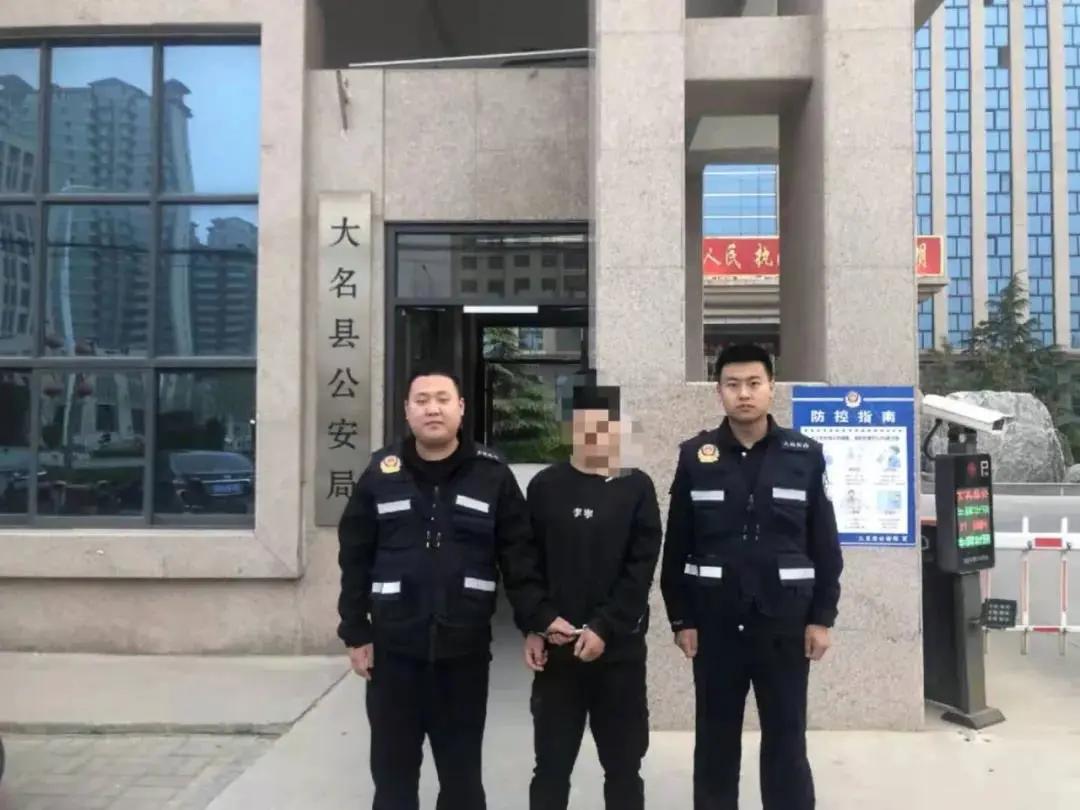 大名出租房屋最新動態，全面指南與最新消息