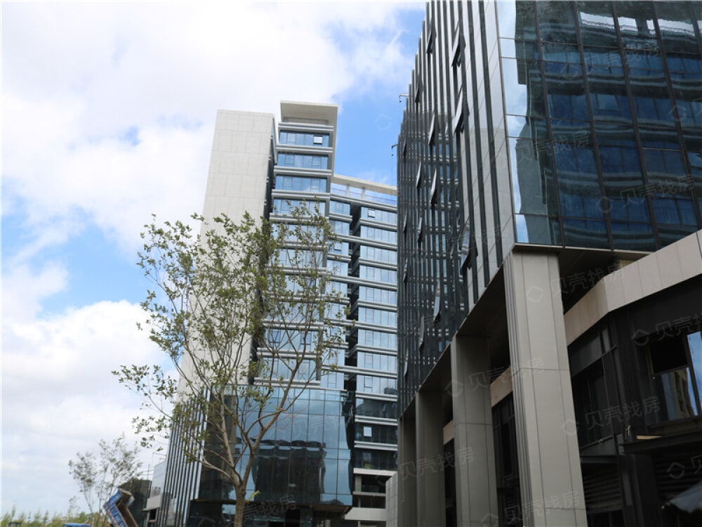 蔚藍創新天地最新動態揭秘，科技小子的日常趣事