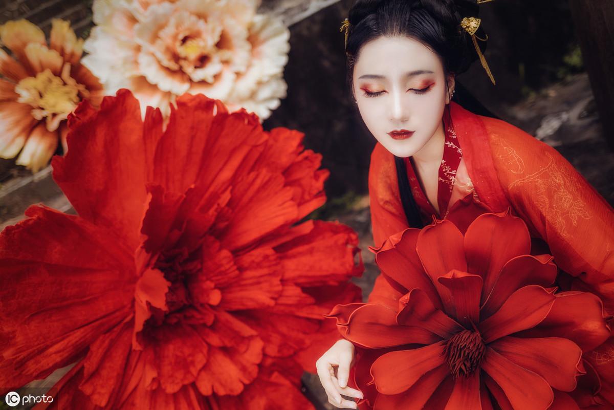 三亞海棠月色最新動態更新,最新消息匯總