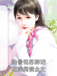 蘇牧婉陸景年最新章節(jié)深度解析與探討,情感糾葛與成長歷程揭秘