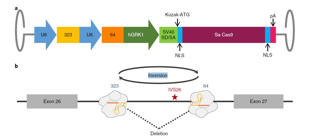 辦公設備租賃服務 第58頁