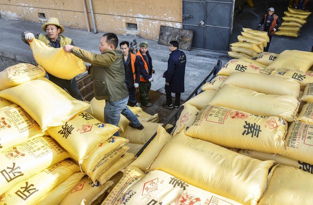 全國尿素最新價格,科技重塑生活下的新面貌