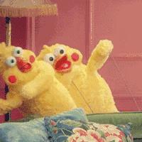 合肥最新動(dòng)態(tài)揭秘,巷弄深處的獨(dú)特風(fēng)味