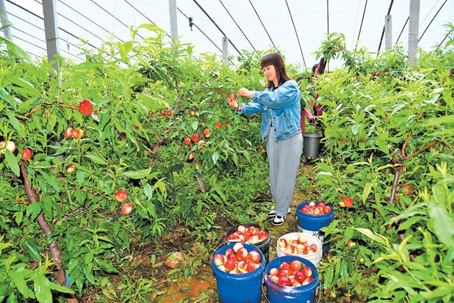 羅牛山最新動態及相關論述概述