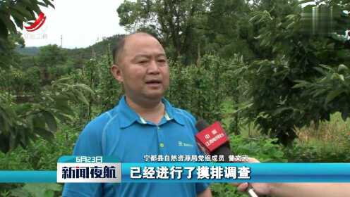 寧都小巷深處的獨特風味,探訪一家隱藏版特色小店的最新新聞