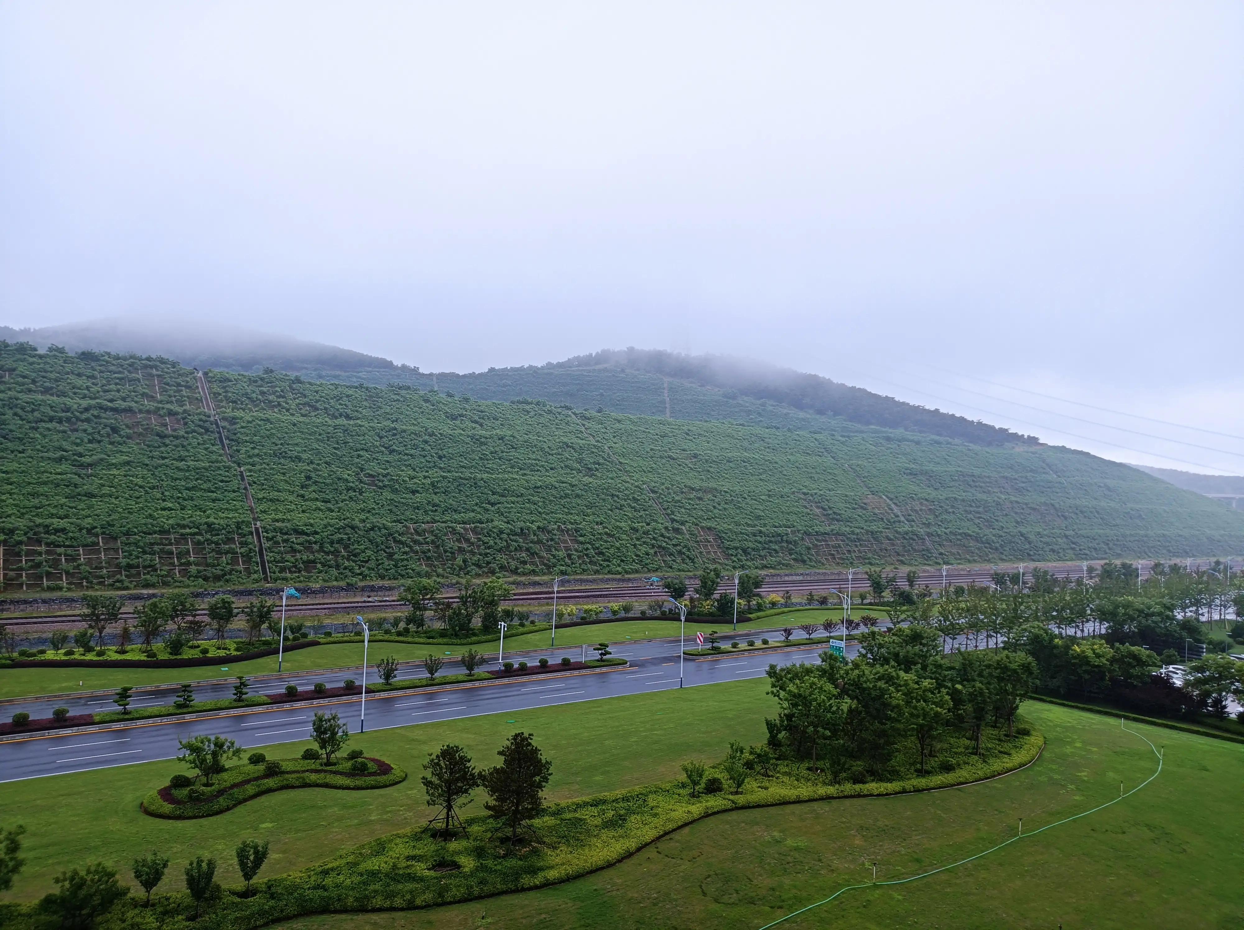 大連長興島最新動態更新