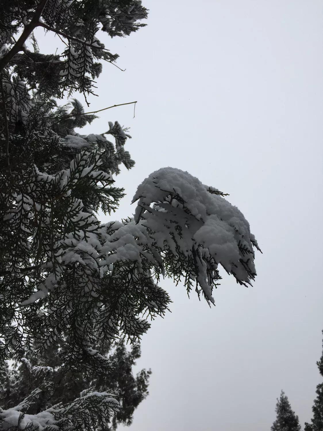 無錫馬山最新規劃揭秘，規劃下的生活日常探索