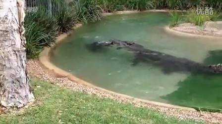草就社區最新地址,自然美景的輕松探索之旅