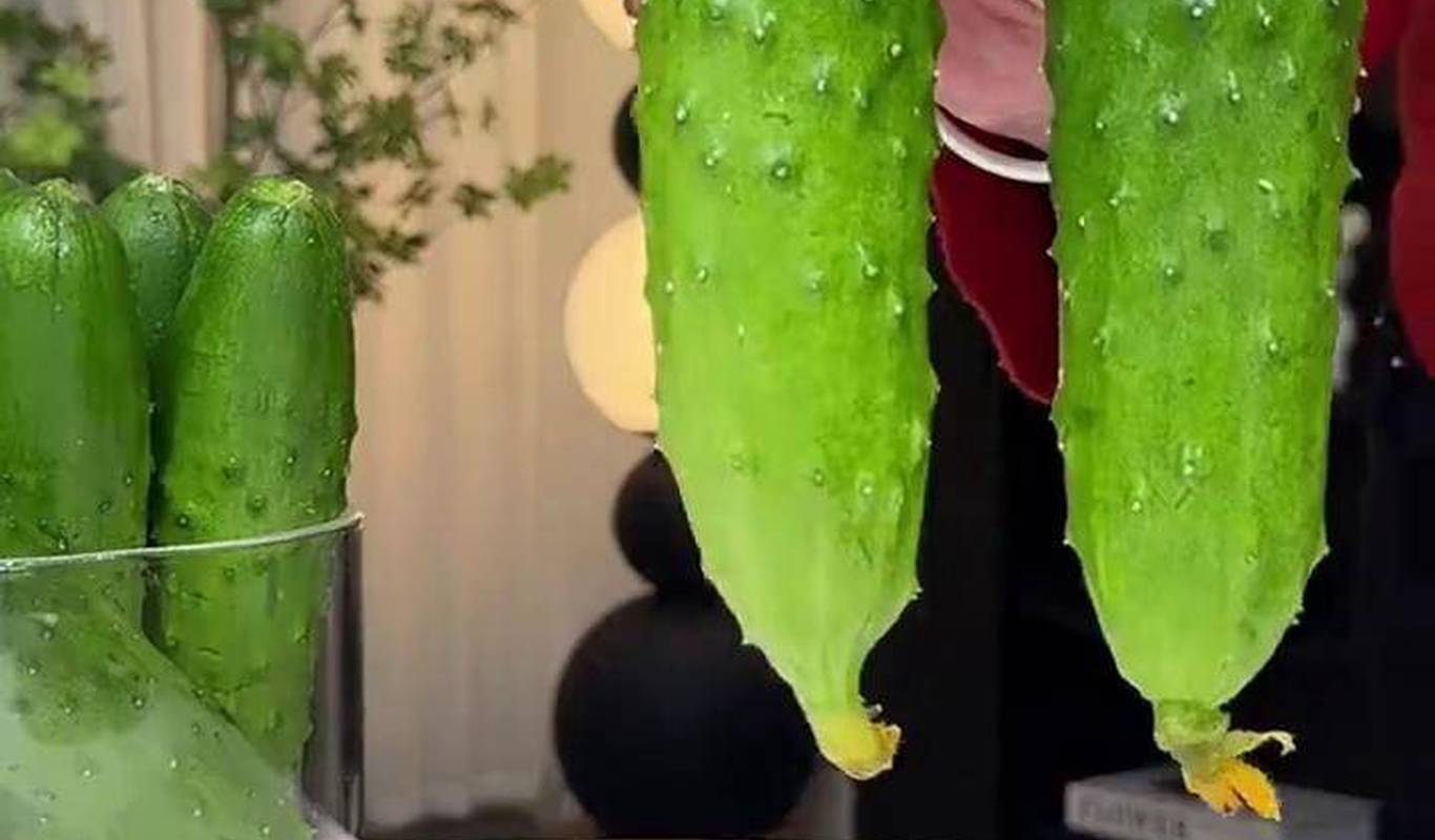 黃瓜視頻下載最新版，時代背景下短視頻巨頭的迅速崛起