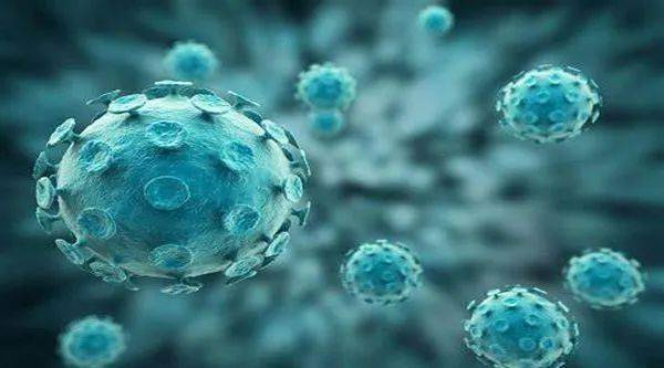 最新病毒狀況下的科技守護者,高科技產品概覽