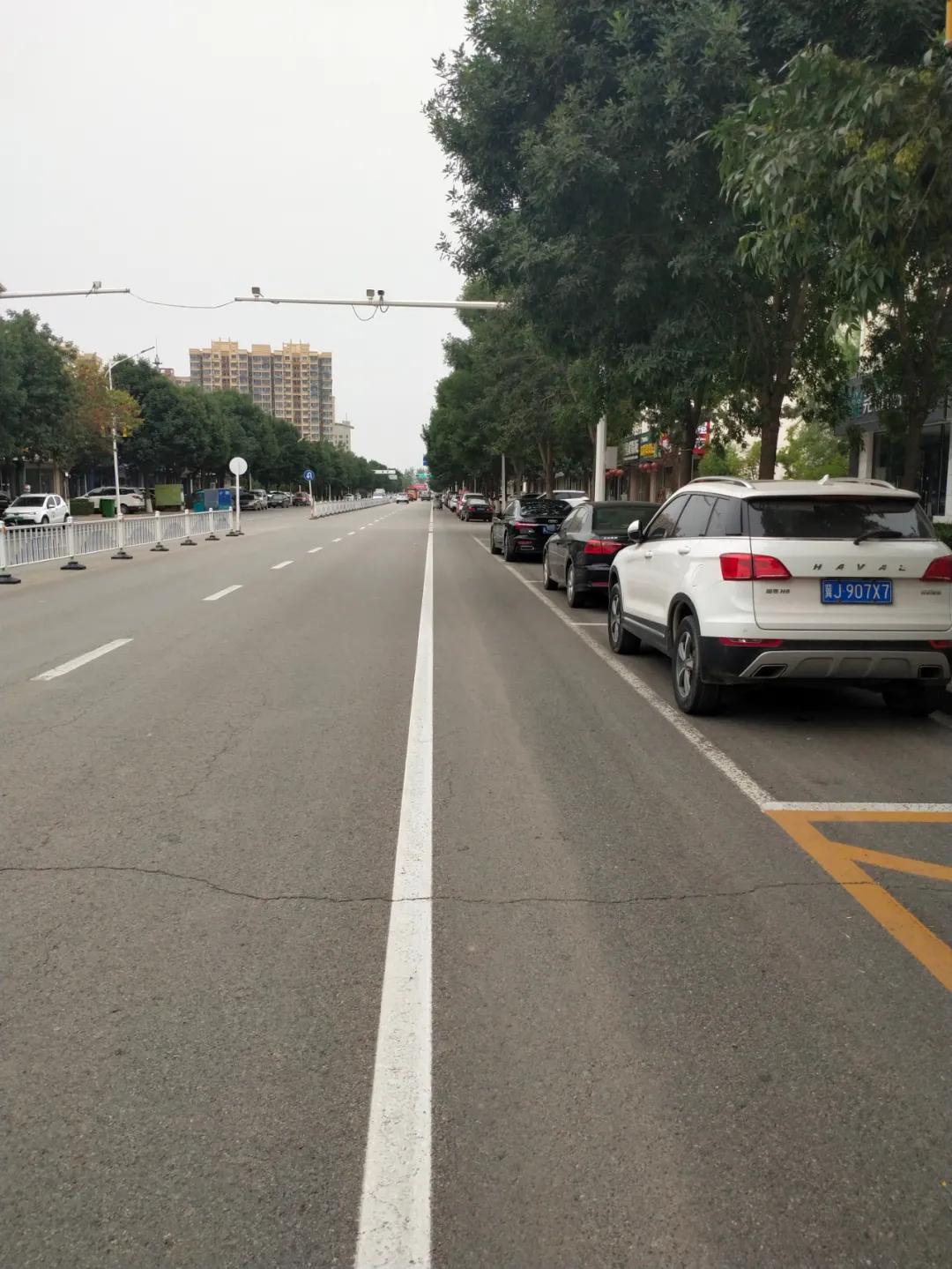 南皮新聞速遞,城市角落的溫馨日常最新消息