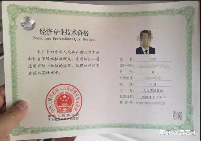 職稱最新動態,時代進步與職業榮譽的見證