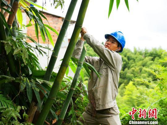 寧德臺風最新動態，科技智能守護安全前沿