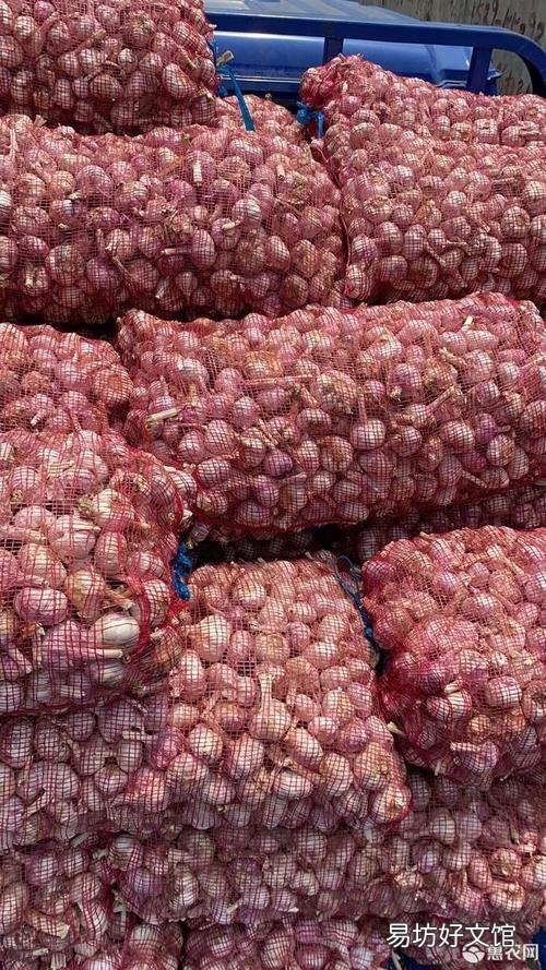 邳州大蒜最新價(jià)格行情指南，了解大蒜市場(chǎng)趨勢(shì)與價(jià)格變動(dòng)