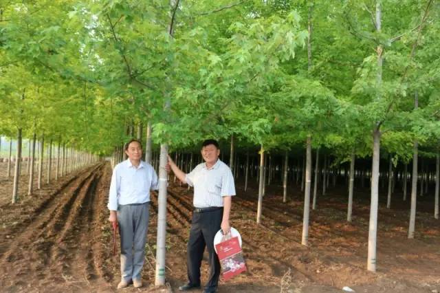 智能苗木管家，科技引領(lǐng)綠色新生活，最新苗木求購消息一網(wǎng)打盡