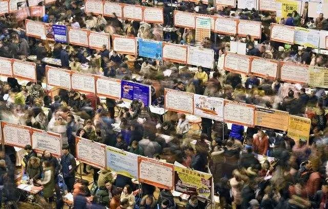 開州網最新招聘,人才吸引與區域發展的視角探討