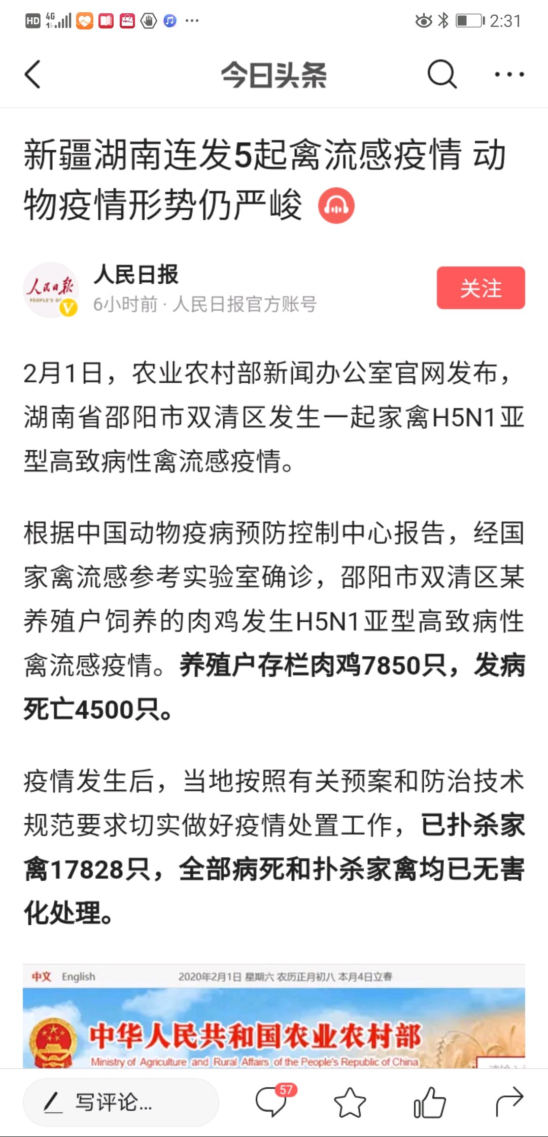 禽流感最新動態與全面應對步驟指南