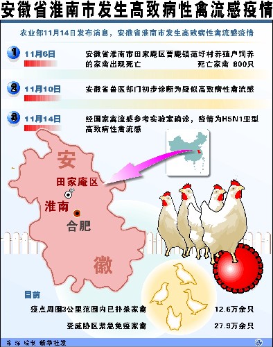 禽流感最新動態與全面應對步驟指南