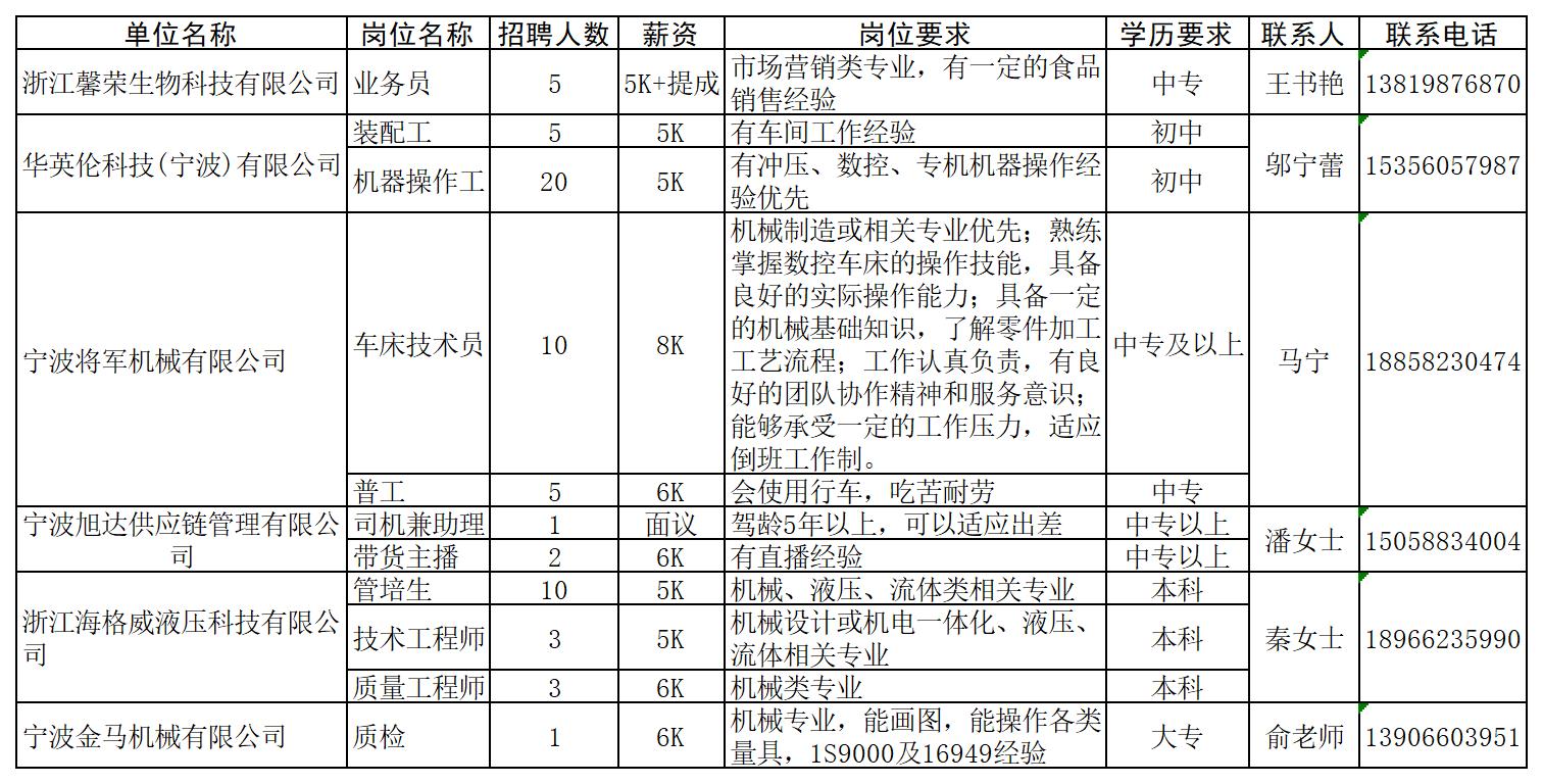 寧波最新招聘信息與溫暖招聘故事，友情的紐帶，家的溫馨