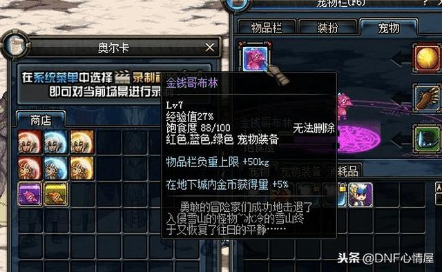 DNF最新寵物重磅上線，科技之巔，極致體驗寵物的誕生