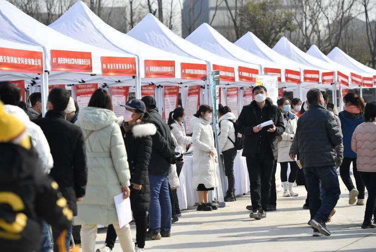 周至縣最新招聘信息揭秘，科技引領職場新風尚，開啟未來就業之門