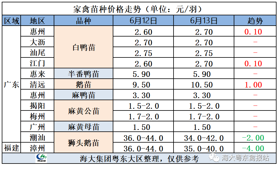 大鵝價格最新行情動態更新??