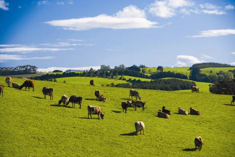時代見證，最新牧場及其背景與重大事件概覽