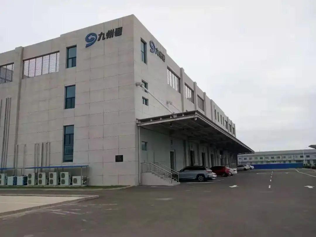 九州通最新動態揭秘,小巷中的特色小店,隱藏寶藏大揭秘