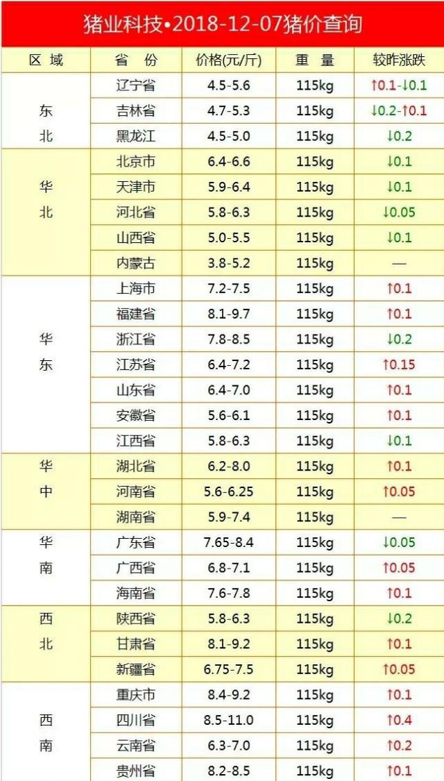 今日豬價走勢分析與最新觀點論述,市場趨勢深度解讀