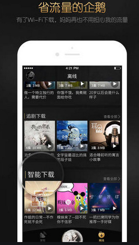 企鵝FM下載最新版,探索自然美景之旅,尋找內(nèi)心平和之地之旅