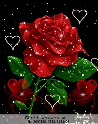 科技與藝術(shù)完美融合，最新玫瑰花閃圖欣賞