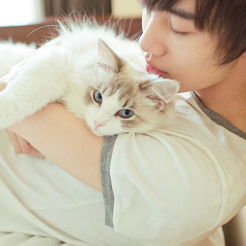 溫馨抱貓日常，最新流行情頭，感受人與貓的深情瞬間