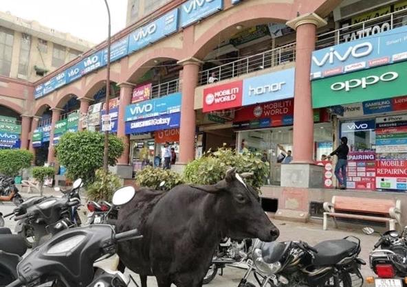 部落沖突OPPO最新版深度解析，優(yōu)劣與我的觀點分享