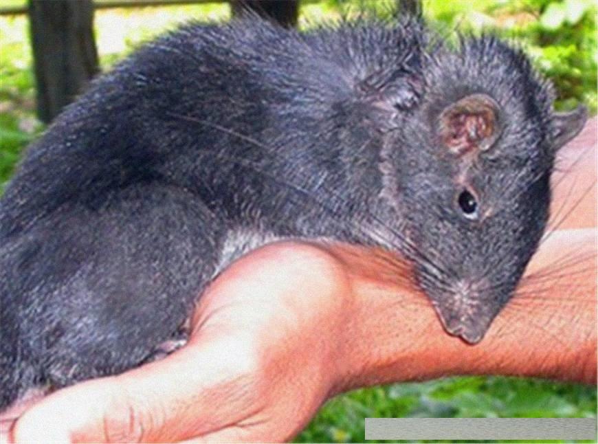 穿越火線4月探索自然美景活動，尋找內心的平和與寧靜之旅